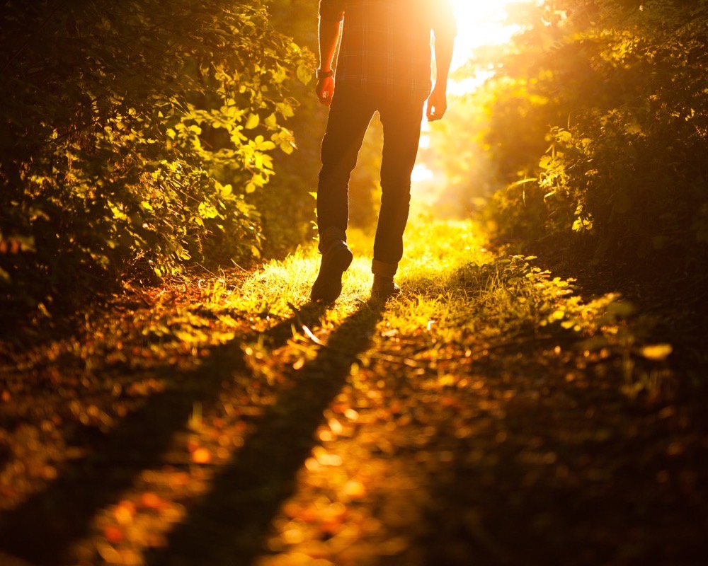 A figure walking in low sun, long shadow.